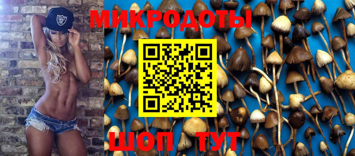 Псилоцибиновые грибы прущие грибы  Псилоцибиновые грибы мицелий  Сорочинск  Вход с VPN 